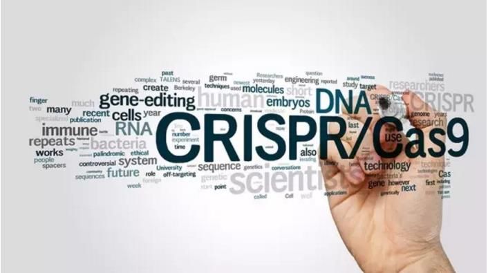 CRISPR-CAS9简介与工作原理