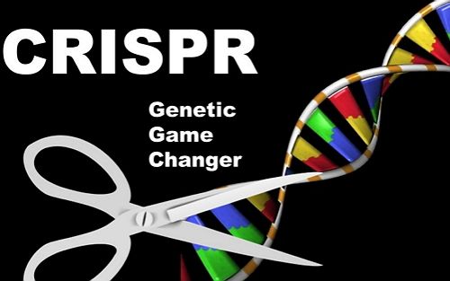 重磅来袭！科学家为你揭晓CRISPR起源的5个谜团