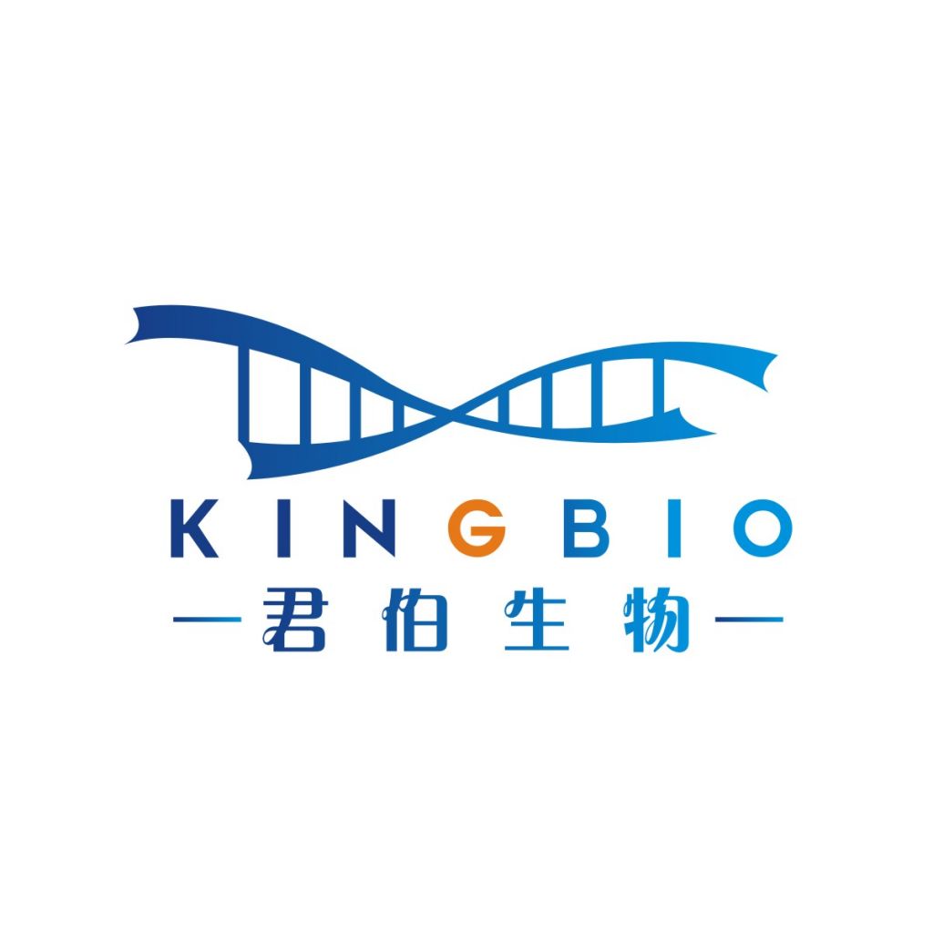 KINGBIO S4感受态大肠杆菌试剂盒